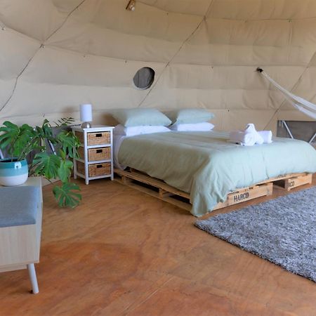 1 Waipu Off-Grid Eco Seaview Geodesic Glamping Dome Hotel Bagian luar foto