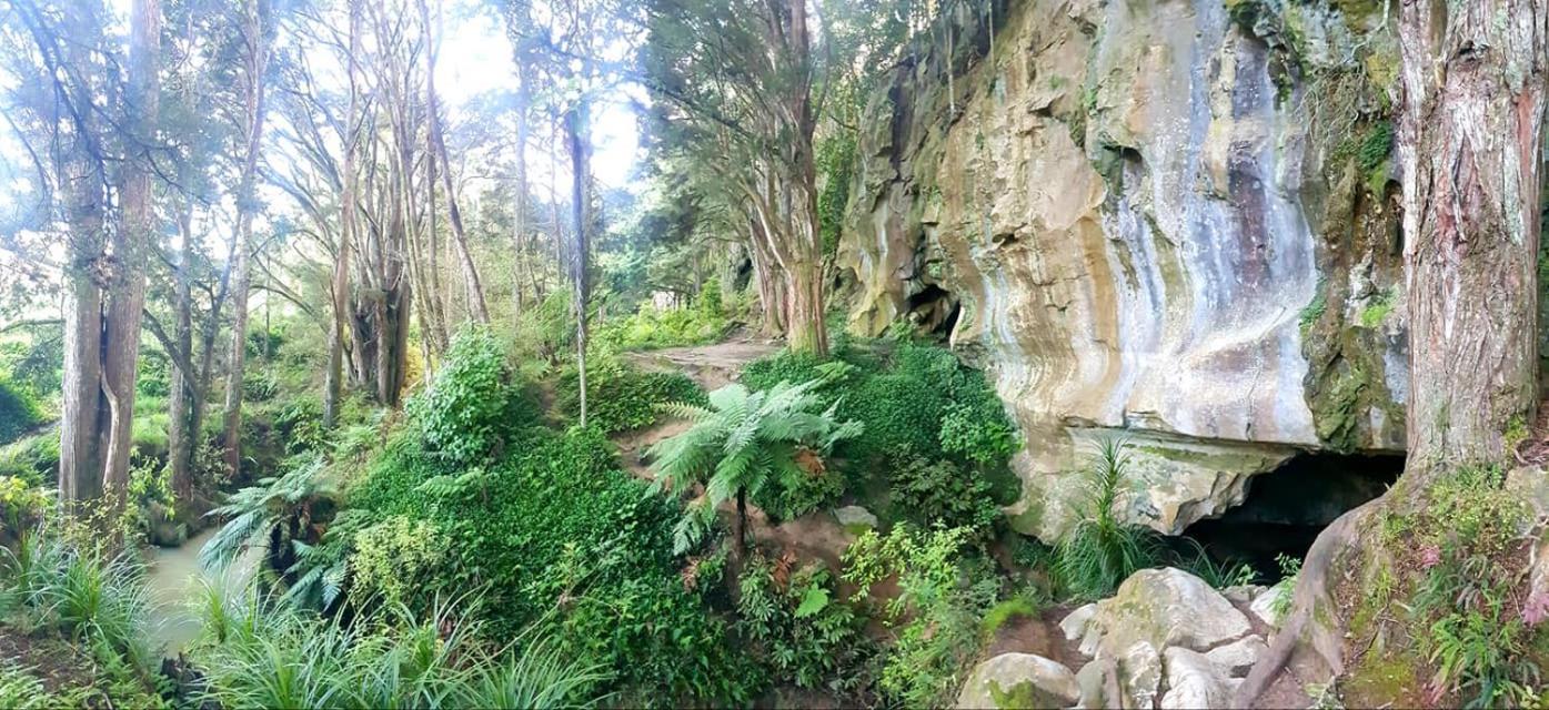 1 Waipu Off-Grid Eco Seaview Geodesic Glamping Dome Hotel Bagian luar foto